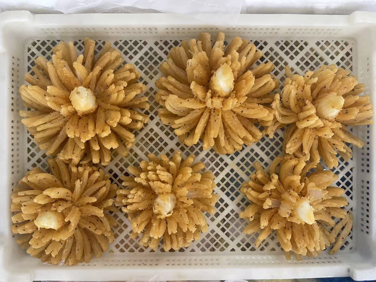 Six coated onion blossom samples arranged in a white tray